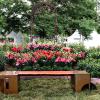 Bench, Bridging the Divide, and sculpture, Be Your Own Sunshine, in the background.
Steel, Penetrol Finish, Cherry
$4650